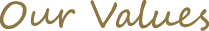 Our Values